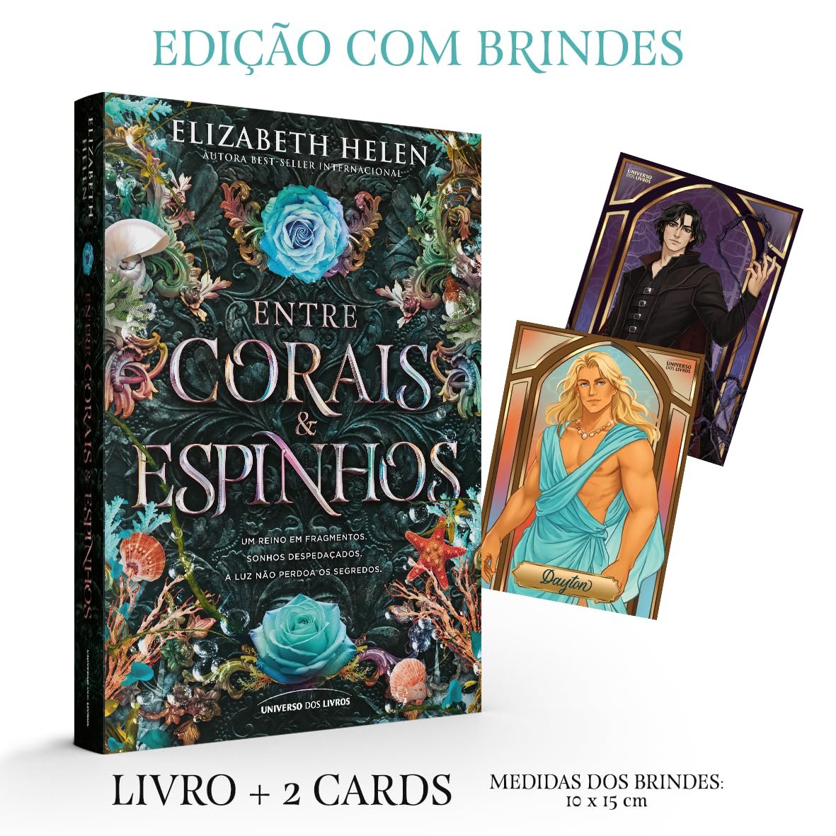 Ilustração de capa mostrando Rosa e Dayton com o Arco da Radiância no Vale Feérico, rodeados por flora de primavera e verão e sombras ameaçadoras dos reinos de outono e inverno.